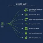 o-que-e-coe