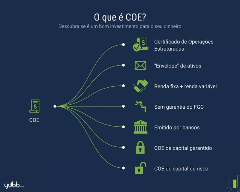 o-que-e-coe