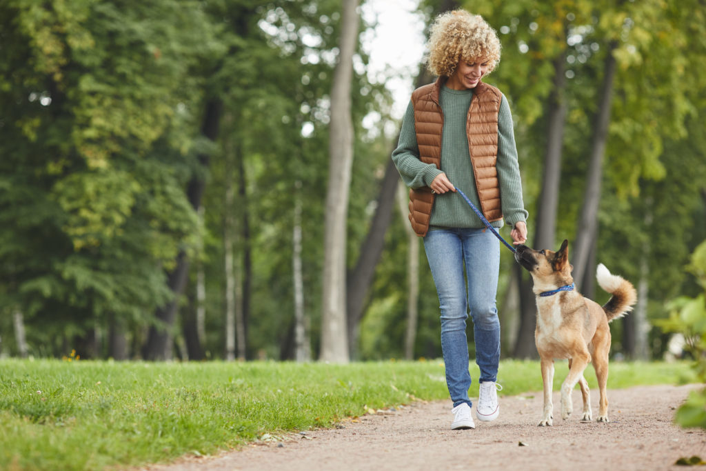 renda extra - passear com cães