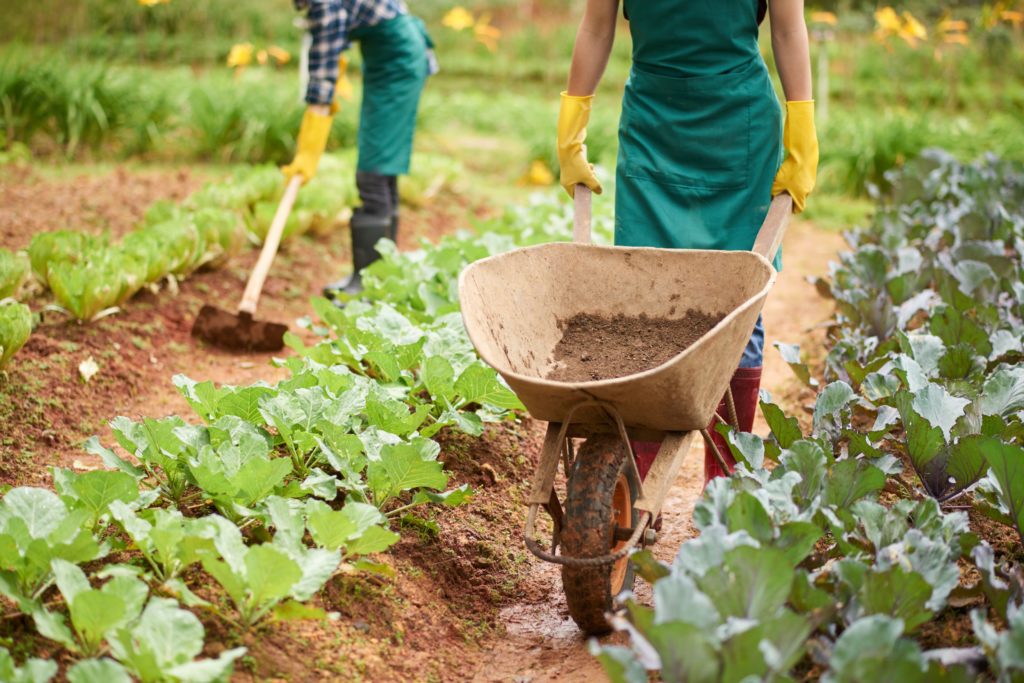Características dos fundos agroindustriais