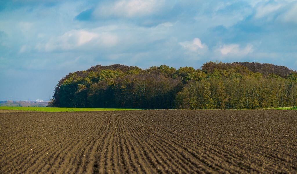 Vantagens e desafios de investir em terras agrícolas