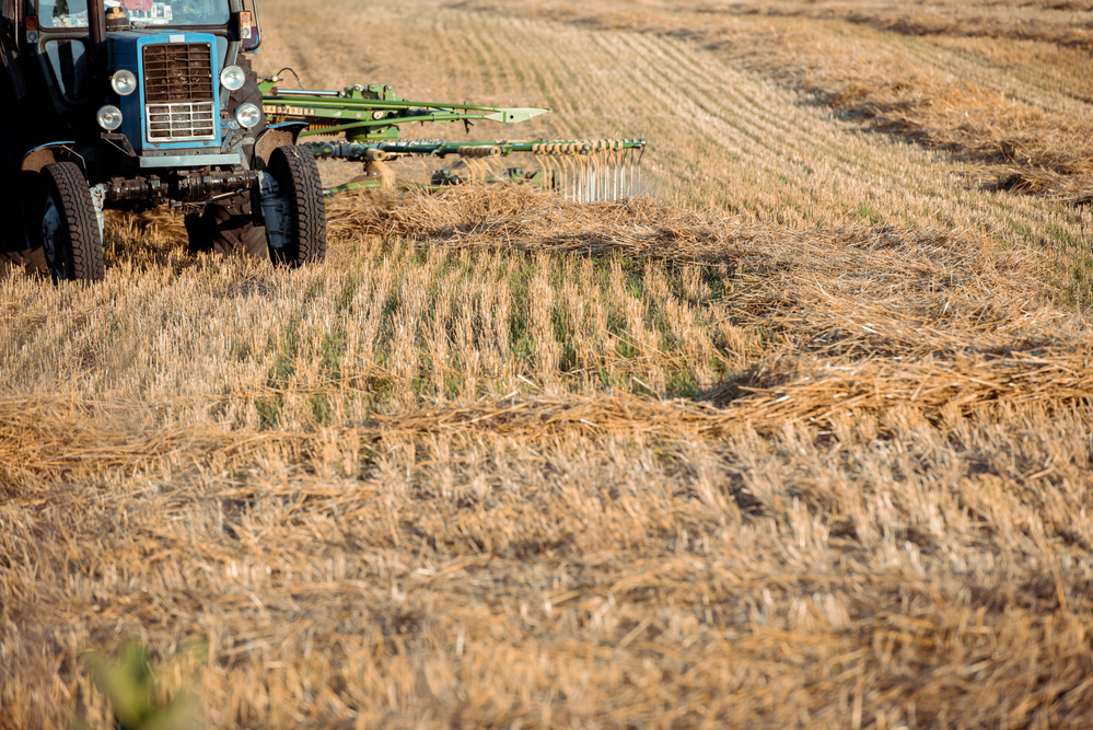 Opções de investimento no agronegócio